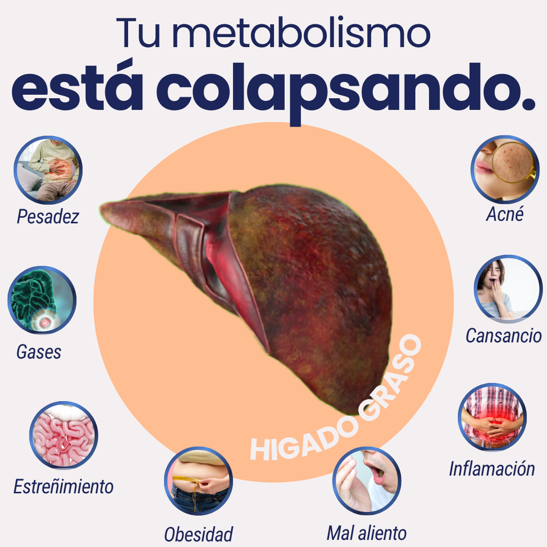 3.png__PID:8dd4ea14-57bf-4965-84f9-4208959de4e5