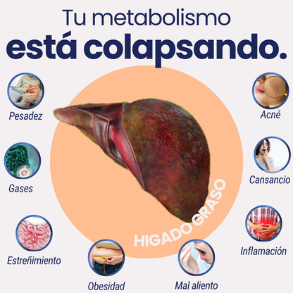 3.png__PID:8dd4ea14-57bf-4965-84f9-4208959de4e5